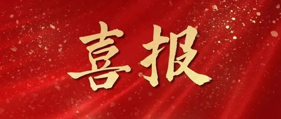 喜报 | 星空娱乐评估荣获国新基金“2024年度优异中介效劳团队奖